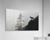 Misty Morning Lookout - Monochrome Landscape Art Prints Acrylic Print