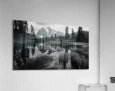 Reflections Of The Wild - Monochrome Landscape Art Prints Acrylic Print