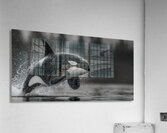 Ambush - Orca Wildlife Art Prints Impression acrylique