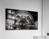 Sloth – Wildlife Portrait Art Print Acrylic Print