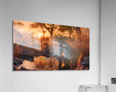 The Gaze – Wildlife Portrait Art Print Impression acrylique