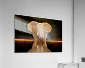 Golden Stillness – Elephant Reflection Print Acrylic Print