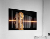 Crowned Silence – Lion Reflection Print Impression acrylique