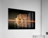 Luminous Giant – Rhinoceros Reflection Print Acrylic Print