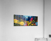 Vibe Bloom – Colorful Floral Art Print Acrylic Print