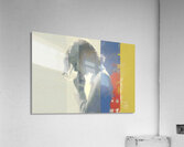 Abstract Portrait in Primary Hues – Women’s Portrait Art Print Acrylic Print