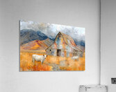 Mosaic Barn & Two White Cows – Farmhouse Landscape Art Print Acrylic Print