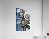 Gilded Sunflower Filigree – Ornate Floral Art Print Acrylic Print