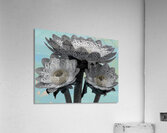 Lace Petal Trio – Modern Lotus Bloom Art Print Acrylic Print