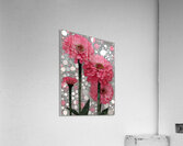 Bloom in Circles – Pink Zinnia Floral Abstract Print Impression acrylique