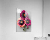 Beaded Blossoms – Textured Pink Daisy Abstract Print Acrylic Print