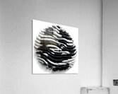Granular Echo – Tactile Monochrome Orb Print Acrylic Print