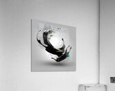 Orbiting Ink – Fluid Monochrome Motion Print Acrylic Print