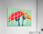 Sunlit Gerberas – Modern Botanical Art Print Impression acrylique