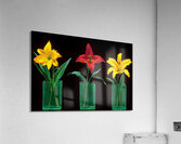 Neon Stems – Trio of Lilies on Black Print Acrylic Print