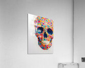 Garden of the Dead – Floral Skull Art Acrylic Print