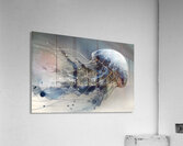 Weightless Grace – Abstract Jellyfish Print Acrylic Print