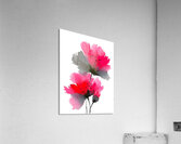 Crimson Petal Mist – Modern Watercolor Floral Print Acrylic Print