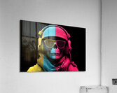 NPC - Non Player Character Digital Print Impression acrylique