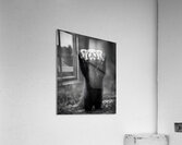 Standing Ovation – Red Panda Print Acrylic Print