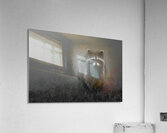 Mistwatcher - Raccoon Print Acrylic Print