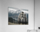 Summit Guardian – Kodiak Bear Print Acrylic Print