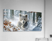 Frost Runner – Winter Bear Print Acrylic Print