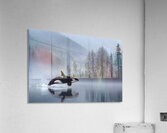 Whispers of the Sea – Orca in the Mist Print Acrylic Print