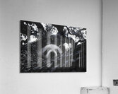 Peek-A-Boo – Panda Portrait Print Acrylic Print