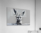 Loud and Clear – Fennec Fox Portrait Print Impression acrylique