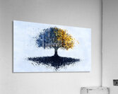 Dual Seasons – Abstract Tree Print Acrylic Print