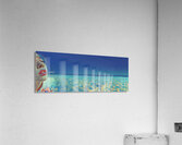 Tropical Horizon – Ocean Muse Print Acrylic Print