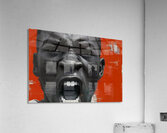 Pearly White – Oral Hygiene Portrait Print Acrylic Print