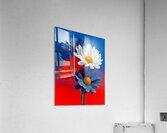 Patriotic Daisies – Red White Blue Floral Print Acrylic Print