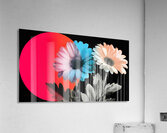 Neon Bloom Eclipse – Retro Daisy Pop Art Print Acrylic Print