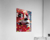 Crimson Skull – Abstract Sugar Skull Art Print Acrylic Print