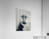 Curious Penguin – Black and White Penguin Portrait Acrylic Print