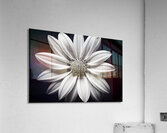 Echo in Silence – Monochrome Bloom Print Impression acrylique