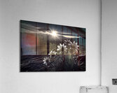 Twilight Bloom – Sunflowers at Dusk Print Impression acrylique