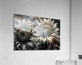 Sunlit Shadows – Dual Sunflower Study Print Acrylic Print
