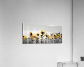 Blue Horizon Bloom – Sunflowers by the Sea Print Acrylic Print