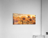 Golden Haze – Radiant Sunflower Morning Print Impression acrylique