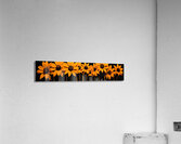 Field of Fire – Vibrant Sunflower Panorama Print Impression acrylique