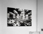 Whispers of the Sky – Monochrome Daisy Field Print Acrylic Print