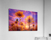 Skyscape Sunflowers – Purple Sunset Botanical Print Acrylic Print