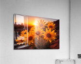 Sunset Sunflowers – Golden Hour Botanical Art Print Acrylic Print