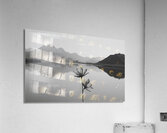 Desert Sunflower – Stormfront Monochrome Landscape Print Acrylic Print