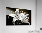 Golden Meadow by the Lake – Wildflower Panorama Print Impression acrylique