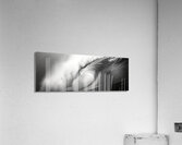 Vortex of Foam – Black & White Wave Print Acrylic Print