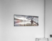 Reflection Tree – Landscape in Black & White Print Acrylic Print